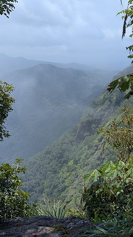 PXL_20250830_060257915.MP.jpg