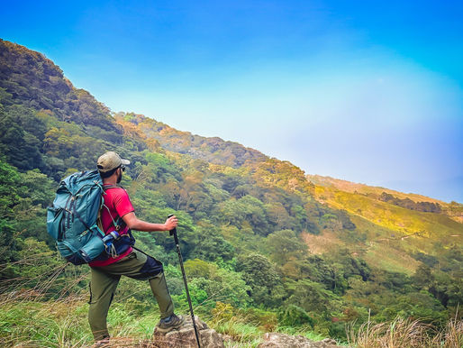 Seasonal trekking route to Agasthyarkoodam through forest reserve