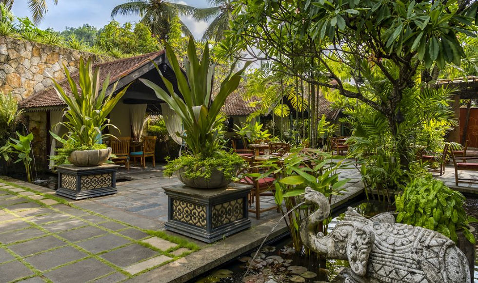 Сад ресторана Villa Maya в Тривандруме