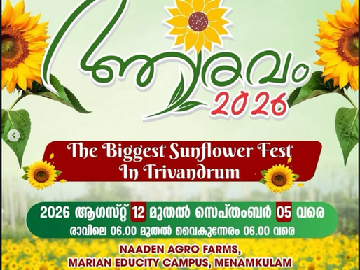 Поле цветущих подсолнухов на фестивале Aaravam 2026 в Naaden Agro Farms, Menamkulam, Тривандрум.