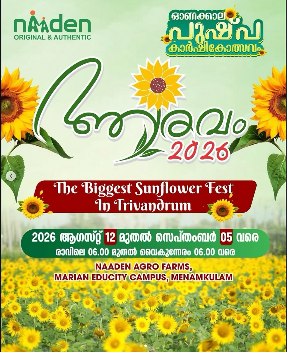Blooming sunflower field at Aaravam 2026 Sunflower Fest at Naaden Agro Farms in Menamkulam, Trivandrum.