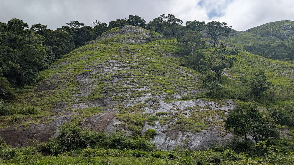 холм на территории национального парка Periyar National Park в Теккади