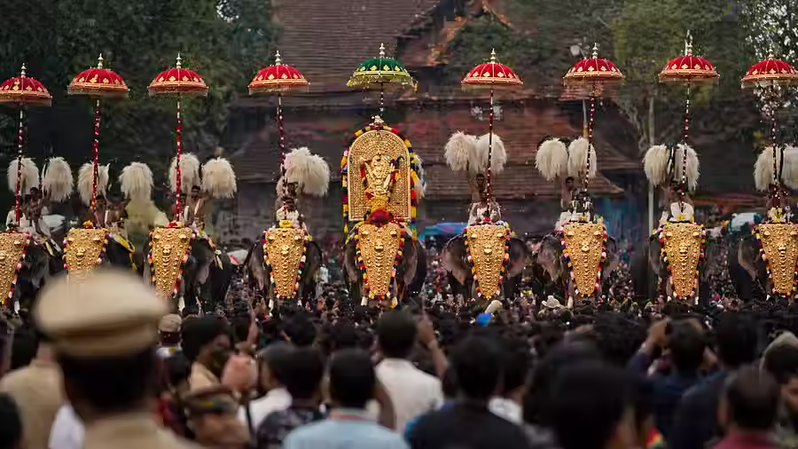 слоны на площади у главного храма фестиваля Vadakkumnathan Temple